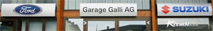 galli.jpg